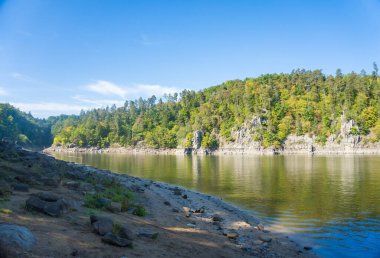 Vltava Nehri 'nin ve Çek Cumhuriyeti' nin Zvikov Kalesi yakınlarındaki ormanın güzel manzarası. Yüksek kalite fotoğraf