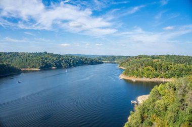 Vltava Nehri 'nin ve Çek Cumhuriyeti' nin Zvikov Kalesi yakınlarındaki ormanın güzel manzarası. Yüksek kalite fotoğraf