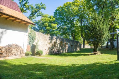 Zvikov Kalesi. Tarihsel Zvikov Kalesi 'nin görkemli manzarası, Çek mirasının asırlarca sergilendiği bir manzara. Yüksek kalite fotoğraf