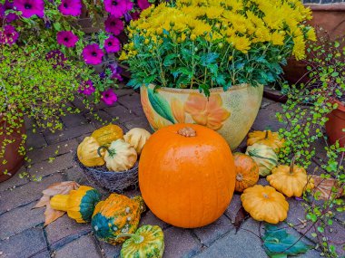 Jack Fenerler Korkunç Gece 'de Ay Işığında Parlıyor - Cadılar Bayramı Sahnesi. Çok ürkünç bir sahne. Yüksek kalite fotoğraf