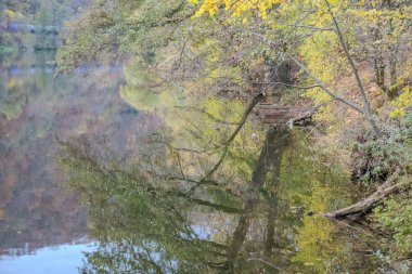 Berounka nehri ve sonbahar mevsiminde tahta tekneler, orman ve dağlar, Hlasna Treban. Çek Cumhuriyeti 'nden. Yüksek kalite fotoğraf