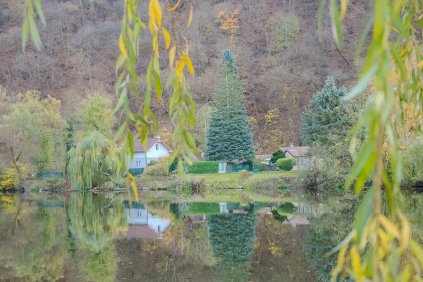 Güzel ağaç. Berounka Ormanı ve Dağları 'nın güzel sonbahar nehri manzarası, arkaplanda nehir üzerindeki yaya köprüsü. Hlasna Treban. Çek Cumhuriyeti 'nden. Yüksek kalite fotoğraf