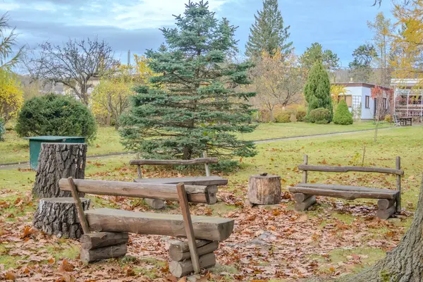 Picnic wooden benches in the yard in autumn season ,place to relax with a Christmas tree. High quality photo