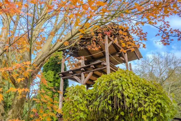 Beautiful creative handmade tree house for kids in backyard of a house in the autumn season. Czech. High quality photo