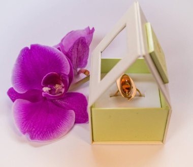 Kehribar nişan yüzüğü ve mor orkide çiçekleri. Romantik imaj ve sevgi dolu bir teklif. Sevgililer Günü Hediyeleri Konsepti. Yeni yıl tatili ve Noel için. Yüksek kalite fotoğraf