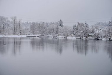 Karlı bir ormanı, donmamış bir nehri, söğütleri ve evleri olan kış manzarası. Çek malı. Yüksek kalite fotoğraf