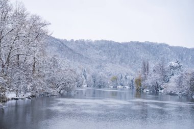 Karlı bir ormanı, donmamış bir nehri, söğütleri ve evleri olan kış manzarası. Çek malı. Yüksek kalite fotoğraf