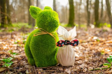 Yumurtalı güzel Paskalya tavşanı kışın uyanan bahar ormanında oturuyor. Paskalya kartı, tebrik kartı ya da duvar kağıdı olarak ideal. Yüksek kalite fotoğraf