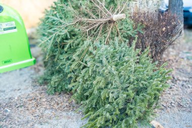 Çöpe atılmış bir Noel ağacının renkli görüntüsü, dışarıda, çöp tenekelerinin yanında. - Evet. Yüksek kalite fotoğraf
