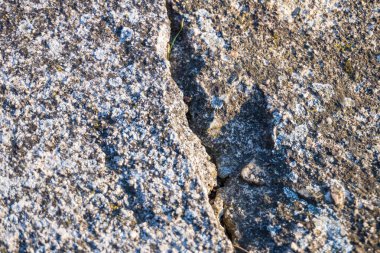 Sokaktaki eski kırık çimento yolu. Yenileme konsepti. Dokulu Arka plan. Yüksek kalite fotoğraf
