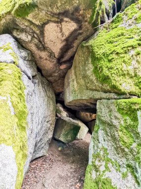 Taş gibi. Central Spa Parkı 'nda sonbahar - Batı Bohemya spa merkezi Marianske Lazne Marienbad - Çek Cumhuriyeti. Yüksek kalite fotoğraf