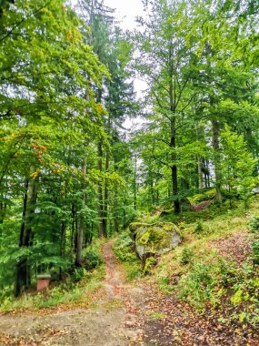Central Spa Parkı 'nda sonbahar - Batı Bohemya spa merkezi Marianske Lazne Marienbad - Çek Cumhuriyeti. Yüksek kalite fotoğraf