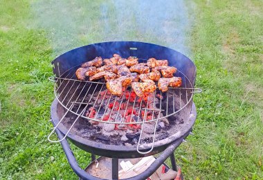 Izgara kebap pişirme. Barbeküde pişmiş et. Barbekü taze chiken et dilimleri. Geleneksel doğu yemeği, şiş kebap. Mangal kömürü, alev, piknik, sokak yemeği. Yüksek kalite fotoğraf