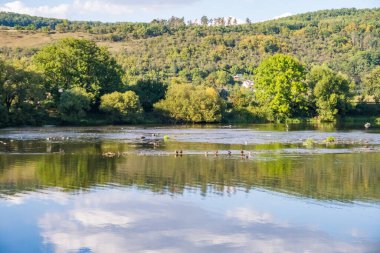 Berounka Nehri 'nin, dağların ve Çek Cumhuriyeti' nin güzel manzaraları. Yüksek kalite fotoğraf