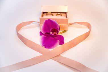 Alyanslar mor orkideli hediye kutusunda. Altın mücevherler. Düğün için. Yüksek kalite fotoğraf