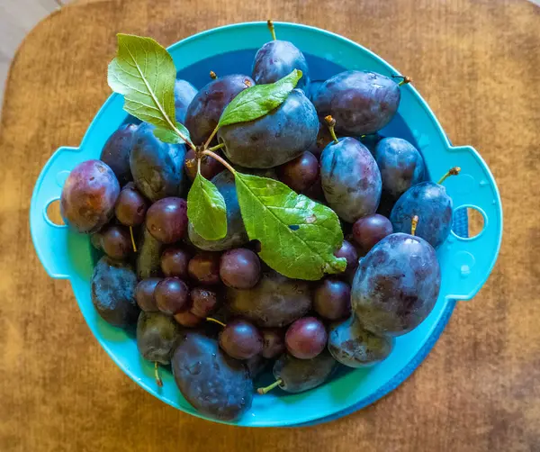 Plums, a lot of very beautiful blue plums, between plums some leaves, background. High quality photo