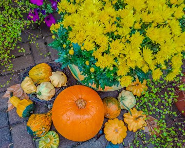 Jack Fenerler Korkunç Gece 'de Ay Işığında Parlıyor - Cadılar Bayramı Sahnesi. Çok ürkünç bir sahne. Yüksek kalite fotoğraf