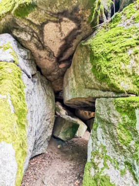 Taş gibi. Central Spa Parkı 'nda sonbahar - Batı Bohemya spa merkezi Marianske Lazne Marienbad - Çek Cumhuriyeti. Yüksek kalite fotoğraf