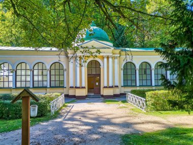 Maden suyu sonbahar ormanı, Çek Lesni pramen - Marianske Lazne Marienbad 'da sonbahar zamanı. Yüksek kalite fotoğraf