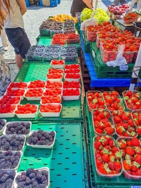 Prag - Çek - 11 Ağustos 2023: Prag 'daki Andel pazarında sebze alışverişi. Yerel organik sağlıklı czech sebzeleri. Yüksek kalite fotoğraf