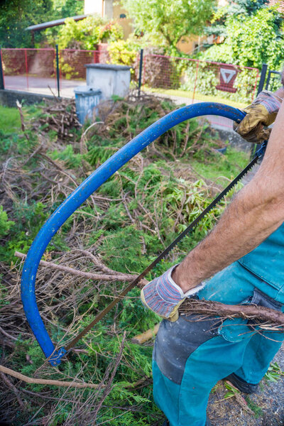 The process of manual sawing of a log. Saw and the end of a tree close up. A man cuts a tree trunk with a hand saw. High quality photo
