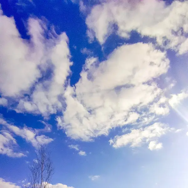 Spring blue sky cloud gradient light blue background. Beauty clear cloudy in sunshine calm bright winter air bacground. Gloomy vivid cyan landscape in environment day horizon skyline view spring wind