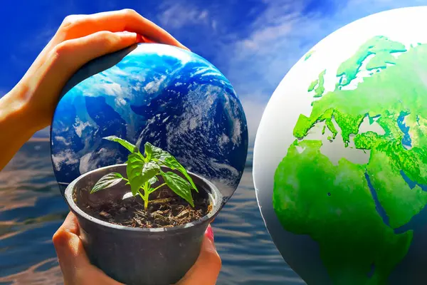 Global communication network. Energy and ecology concept. Protecting earth planet and development ecological energy. Protecting the Planet. The Environment - Earth Day Concept. High quality photo