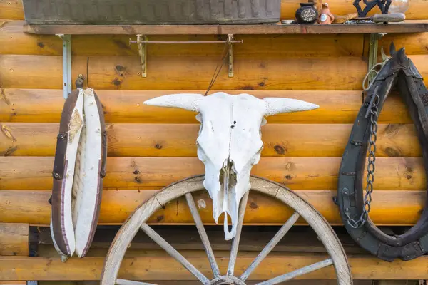 Stock image Long horned bull skull and old west wagon wheel hanged on a scratched wall. Czech. High quality photo