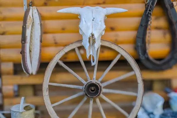 stock image Long horned bull skull and old west wagon wheel hanged on a scratched wall. Czech. High quality photo