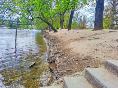 Prag 'da, ilkbaharda Streletsky Adası' nda merdivenleri olan Vltava Nehri 'nin güzel manzarası. Yüksek kalite fotoğraf