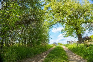 Mavi gökyüzü, Zadni Treban ile muhteşem bir dağ manzarası olan küçük bir köyde yürüyüş yolu. Çek Cumhuriyeti. Yüksek kalite fotoğraf