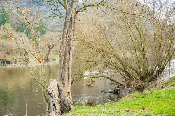 Berunka Nehri 'nin yakınlarındaki zümrüt suyu ve teknelerle panoramik bir nehir manzarası. Doğa koruma kavramı. Çek Cumhuriyeti 'nden. Yüksek kalite fotoğraf