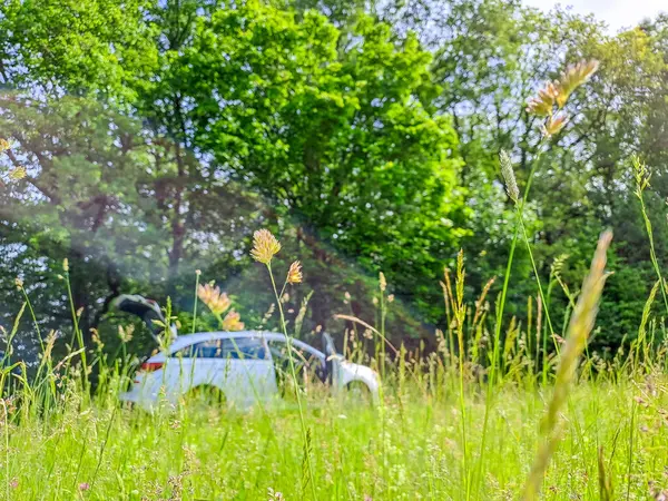 Ormanın yakınındaki bir açıklıkta beyaz bir araba park halinde. Açık hava eğlence konsepti. Yüksek kalite fotoğraf