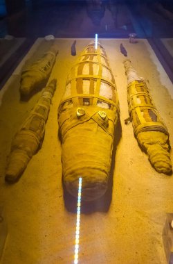 Timsah Müzesi Kom Ombo tapınağının yanında yer almaktadır. Timsah mumyaları. Mısır. Yüksek kalite fotoğraf