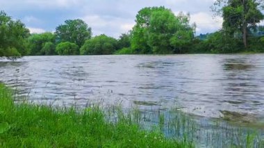 Berunka nehrinde akan kristal temiz su, doğa arka planı. Çek malı. Yüksek kaliteli FullHD görüntüler