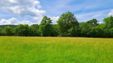 Yaz zamanı Beroun, Peyzaj, tarla, orman, dağlar yakınlarındaki dağ panoramik manzarası. Çek malı. Yüksek kaliteli FullHD görüntüler