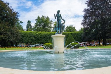 Podebradi- Çek- 27 Temmuz 2024 Leda kuğu ve park gezintisi, spa kasabası Podebrady. Yüksek kalite fotoğraf