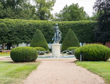 Podebradi- Çek- 27 Temmuz 2024 Leda kuğu ve park gezintisi, spa kasabası Podebrady. Yüksek kalite fotoğraf