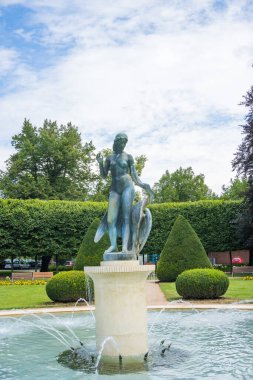 Podebradi- Çek- 27 Temmuz 2024 Leda kuğu ve park gezintisi, spa kasabası Podebrady. Yüksek kalite fotoğraf