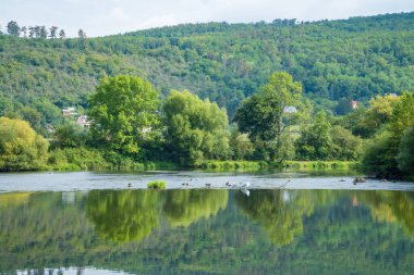 Sammer Nehri 'nin, Berounka' nın, ormanın ve dağların güzel manzarası, Çek. Yüksek kalite fotoğraf