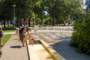 Podebradi- Çek- 27 Temmuz 2024: İnsanlar ağaçların gölgesindeki sıcaktan ve su damlalarından, Central Park 'taki çeşmeden kaçıyorlar. Yüksek kalite fotoğraf