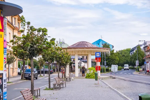 Podebradi- Çek- 27 Temmuz 2024: Rieger ilkbaharı yaz aylarında Podebrady kaplıcasında. Yüksek kalite fotoğraf