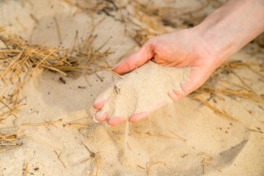 Ellerin ormanın arka planında kum tutması, kaygısız bir an. Kum ellerden akar. Zaman kavramı. Sonbahar ormanı ve dinlenme. Ukrayna. Yüksek kalite fotoğraf