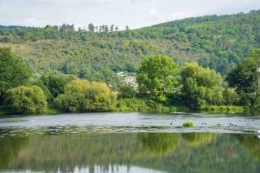 Sammer Nehri 'nin, Berounka' nın, ormanın ve dağların güzel manzarası, Çek. Yüksek kalite fotoğraf