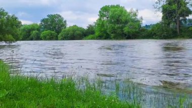 Berunka nehrinde akan kristal temiz su, doğa arka planı. Çek malı. Yüksek kaliteli FullHD görüntüler