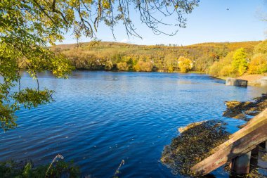 Berounka sonbahar nehrinin, ormanın ve dağların güzel manzarası, Çek. Yüksek kalite fotoğraf