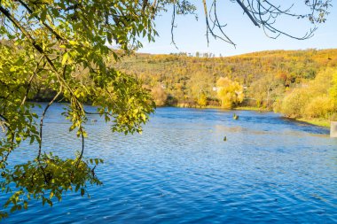 Berounka sonbahar nehrinin, ormanın ve dağların güzel manzarası, Çek. Yüksek kalite fotoğraf