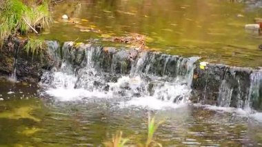 Huzurlu, rahatlatıcı, küçük bir dağ şelalesi, Çek Cumhuriyeti 'ni sakinleştiriyor. Yüksek kaliteli FullHD görüntüler