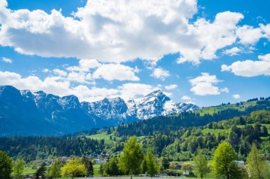 Alpler 'de yeşil çayırlar, çiçek açan çiçekler ve arka planda karla kaplı dağ tepeleri olan Idyllic manzara. İsviçre. Yüksek kalite fotoğraf