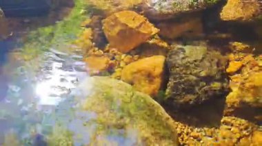 Harrachov nehri, Harrachov 'daki taş kayaların arasından akıyor. Ağır çekimde taştan bir dipten akan bol miktarda nehir. Vahşi dağ nehri bir yaz günü suyla doluyor. Çekçe